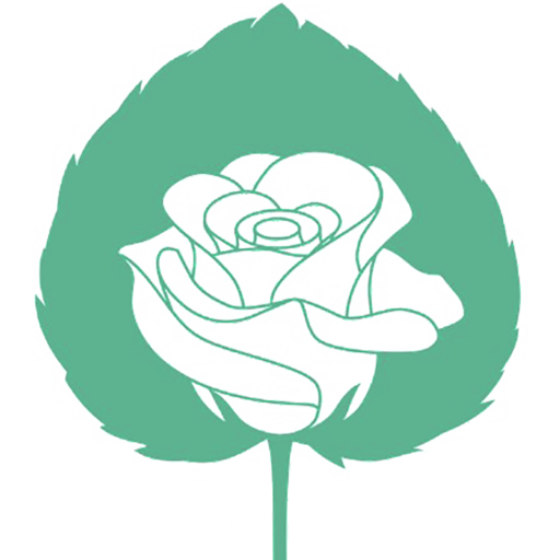 Developpement mariole